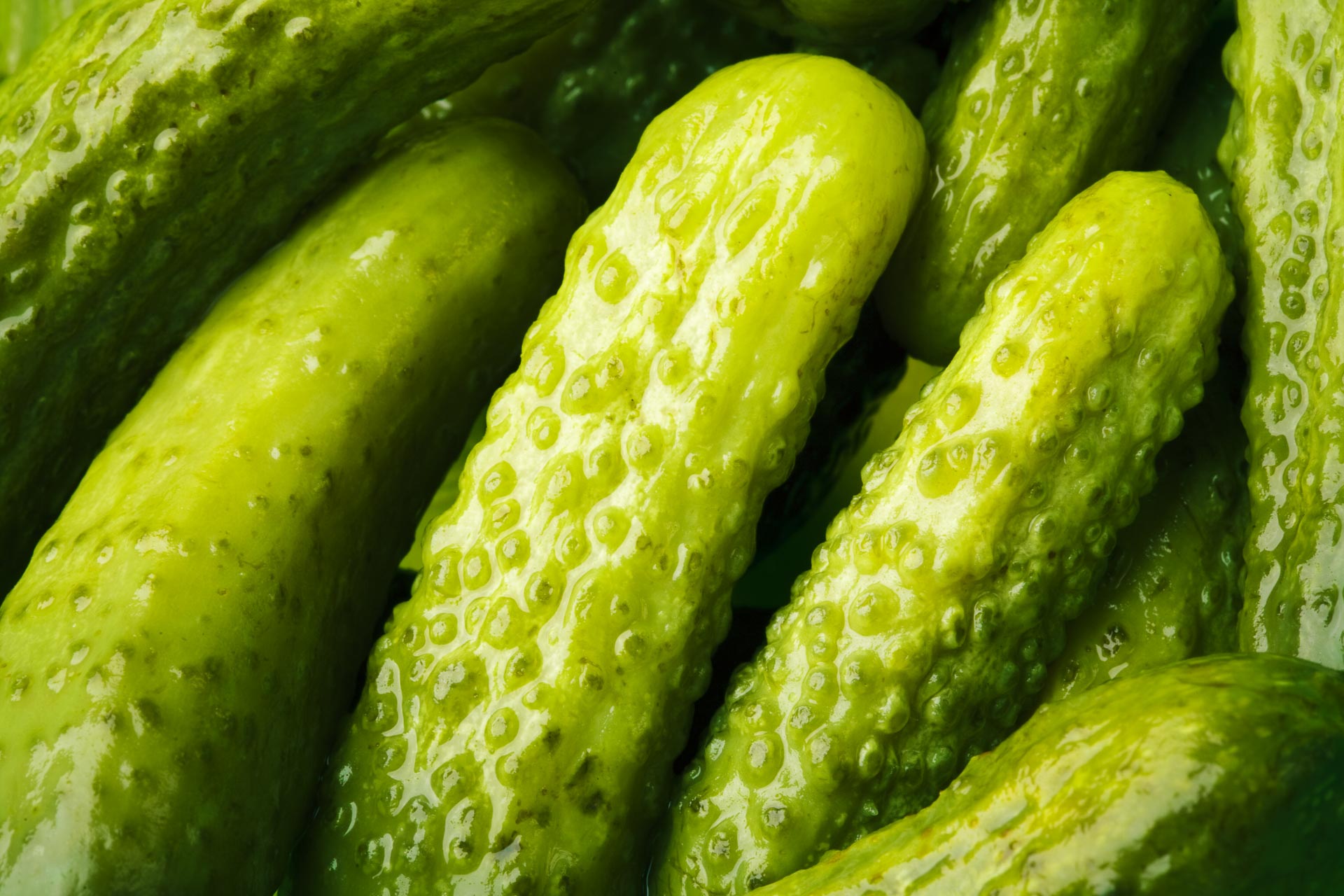 baby size pickles