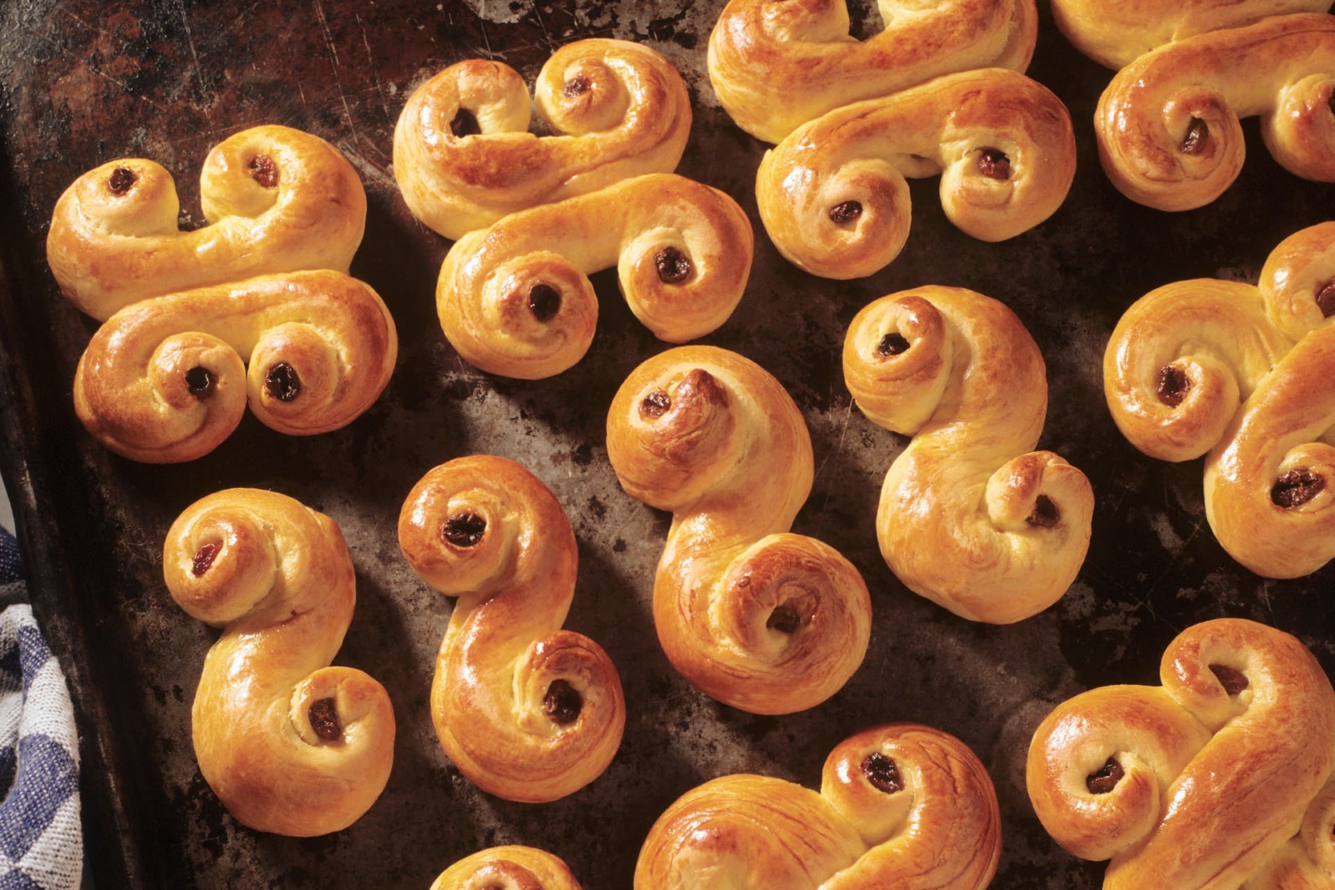 Lussekatter