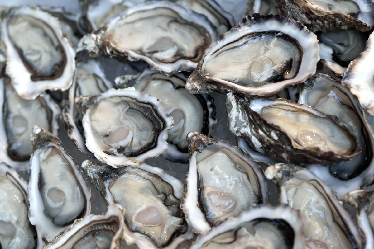 oyster - Fine Dining Lovers