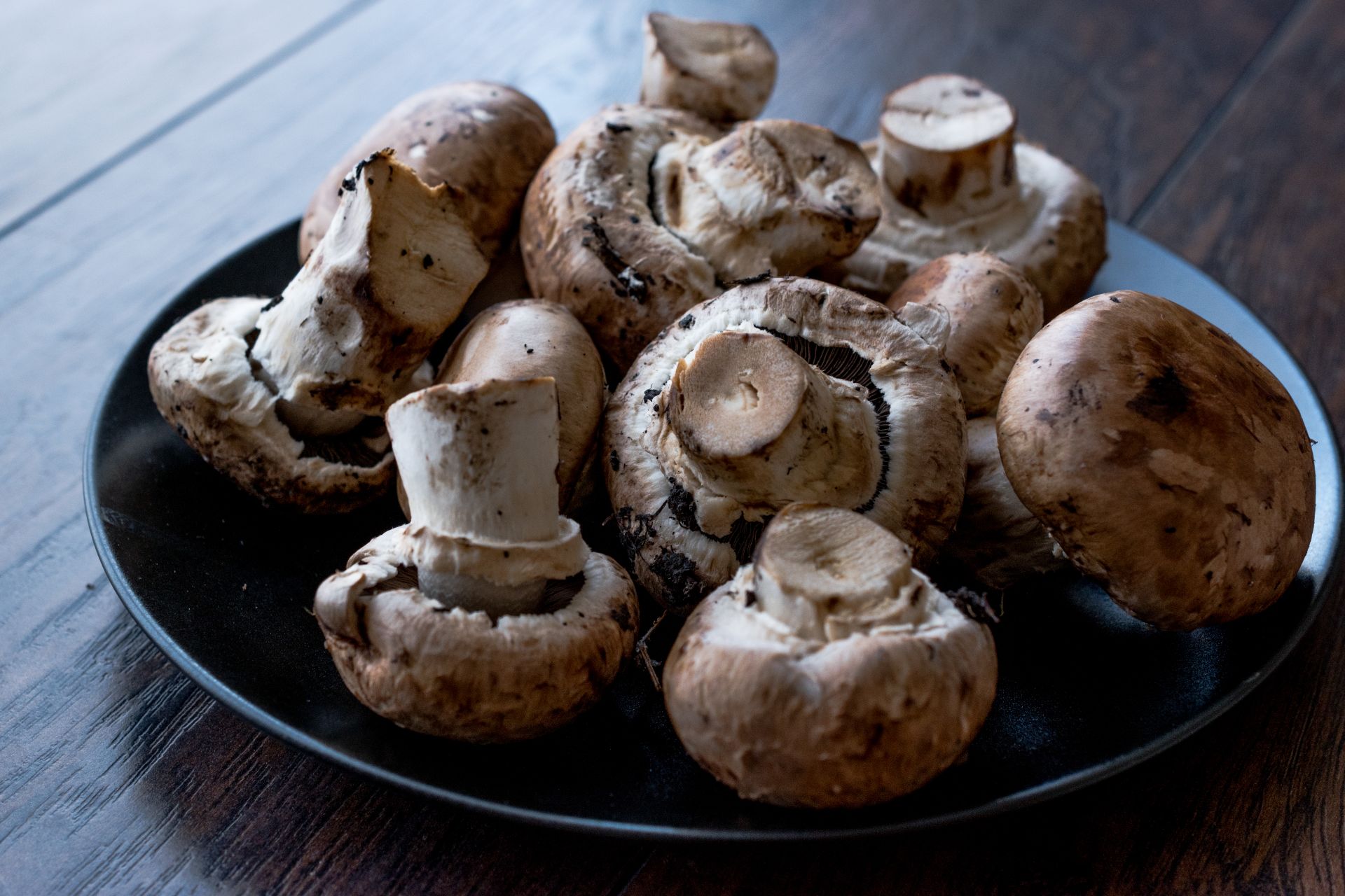 baby-bella-mushrooms-differences