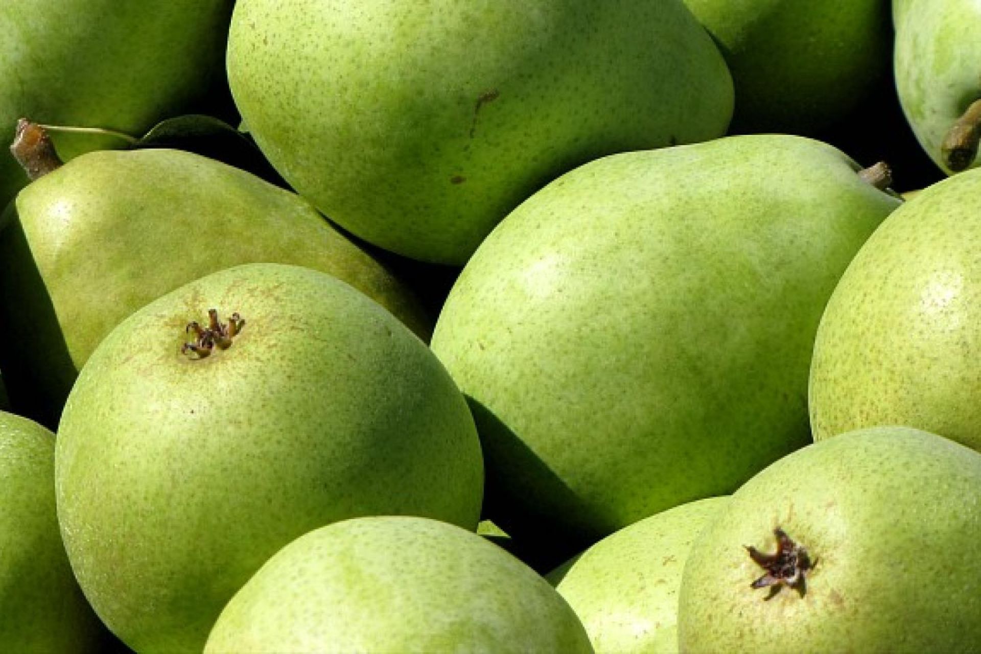 Pears