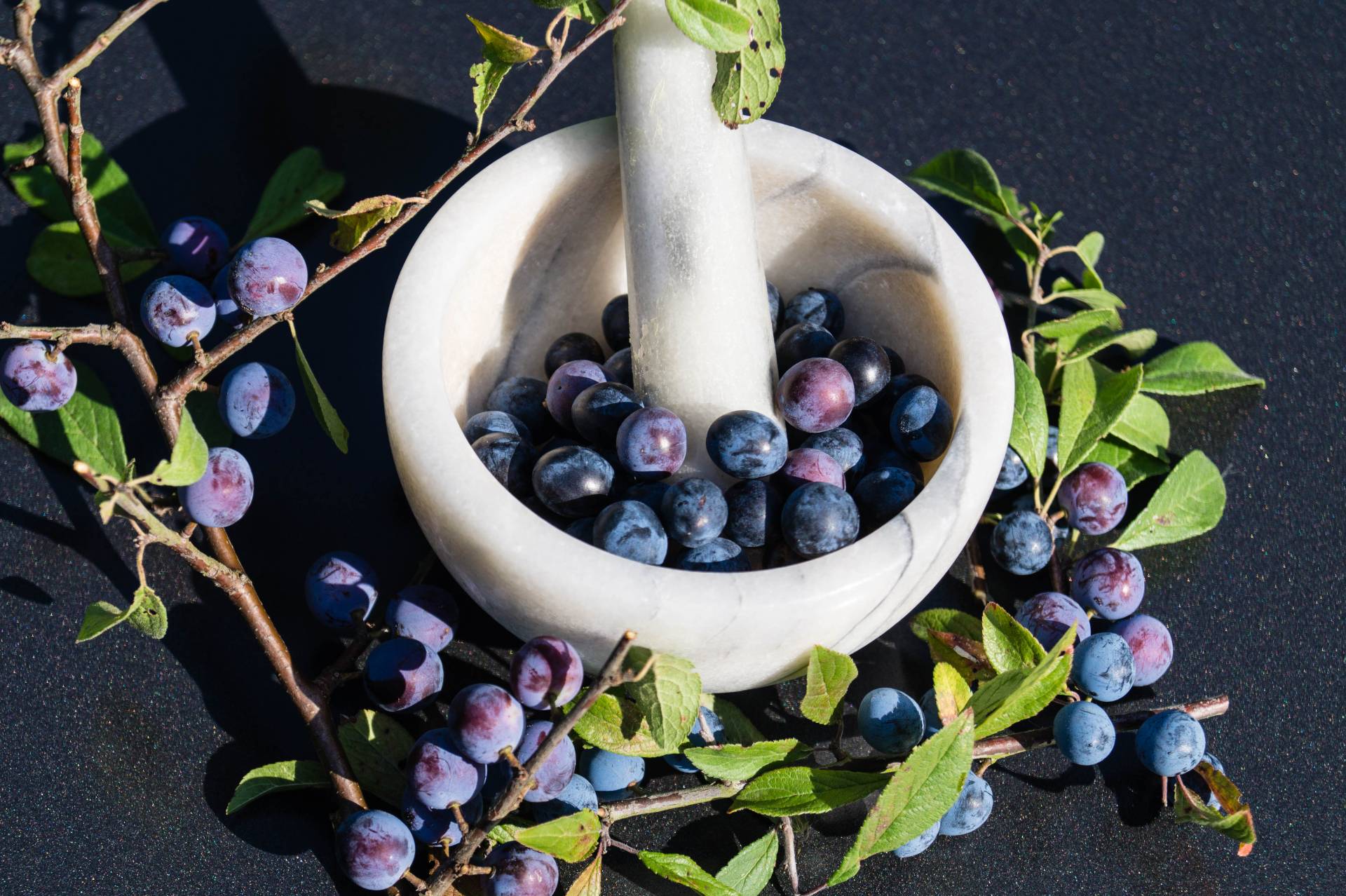 blackthorn-benefits