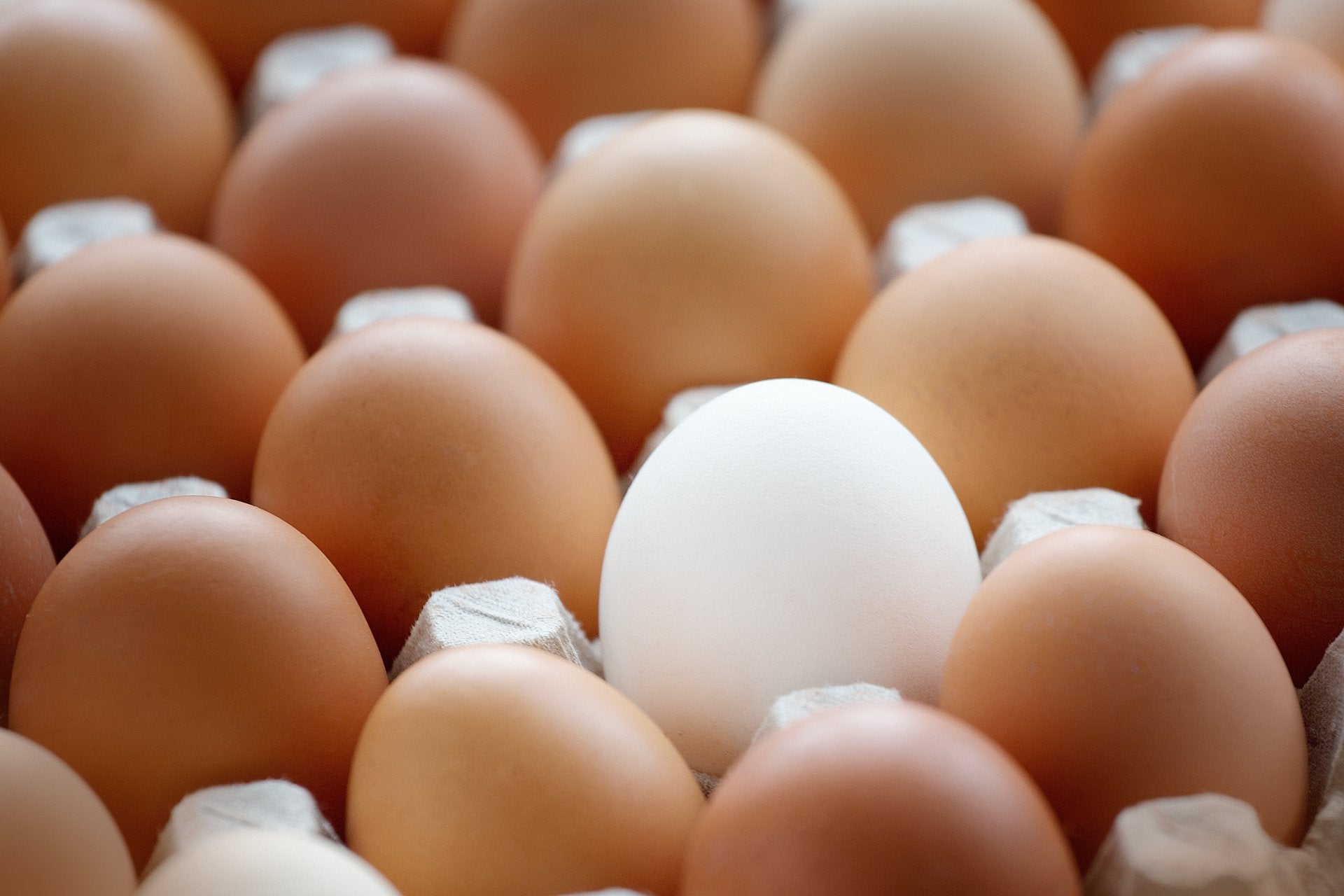 brown-and-white-eggs-bleached