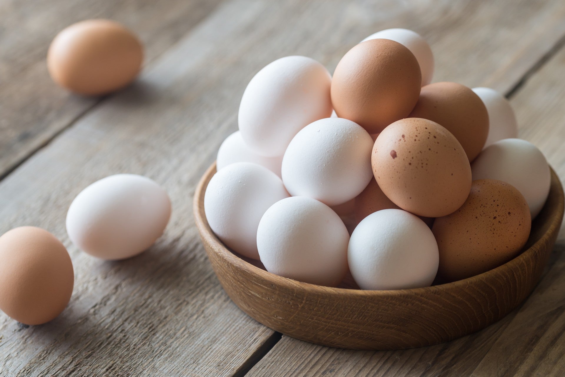 brown-and-white-eggs-difference