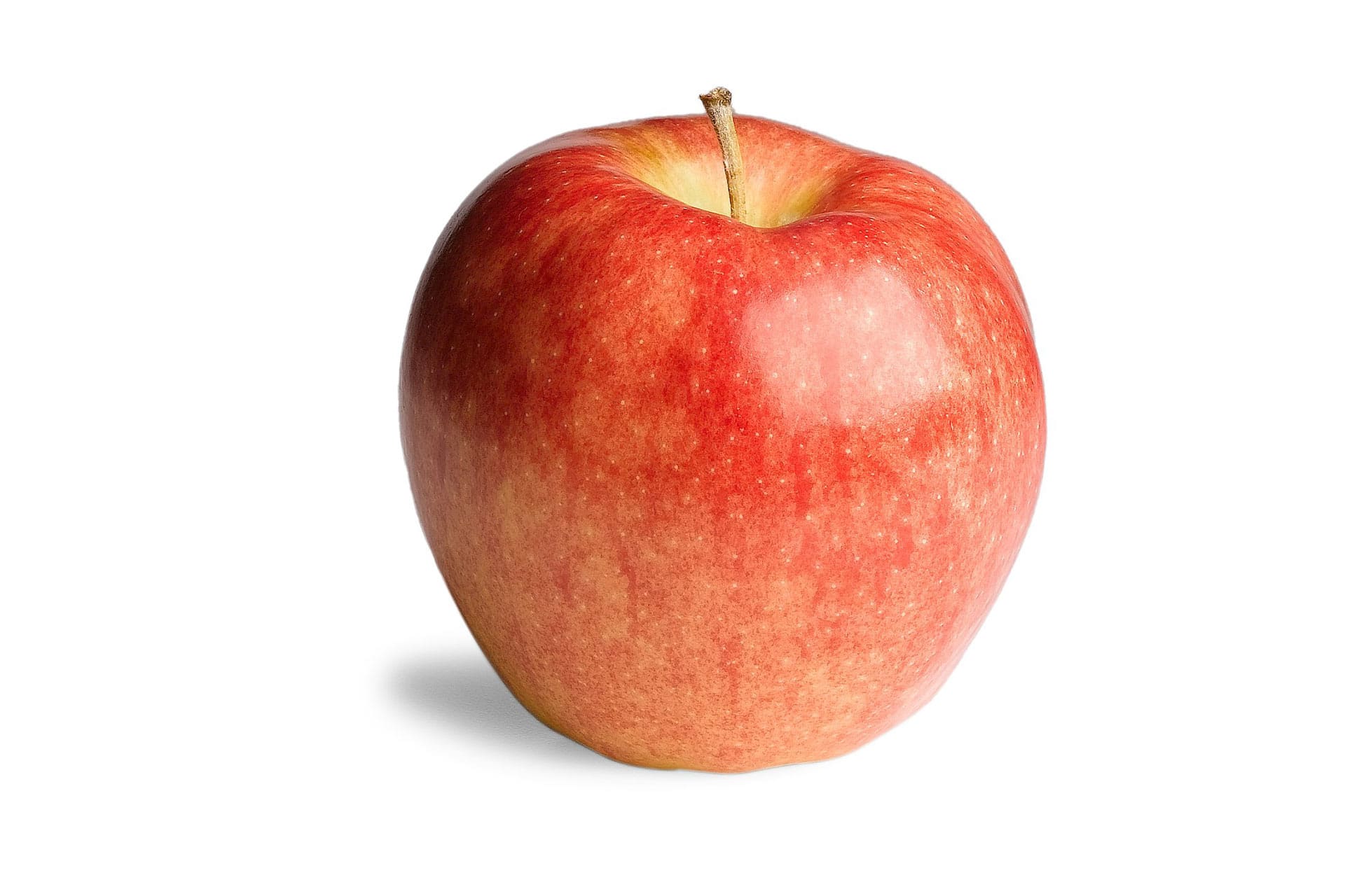 jonagold apple