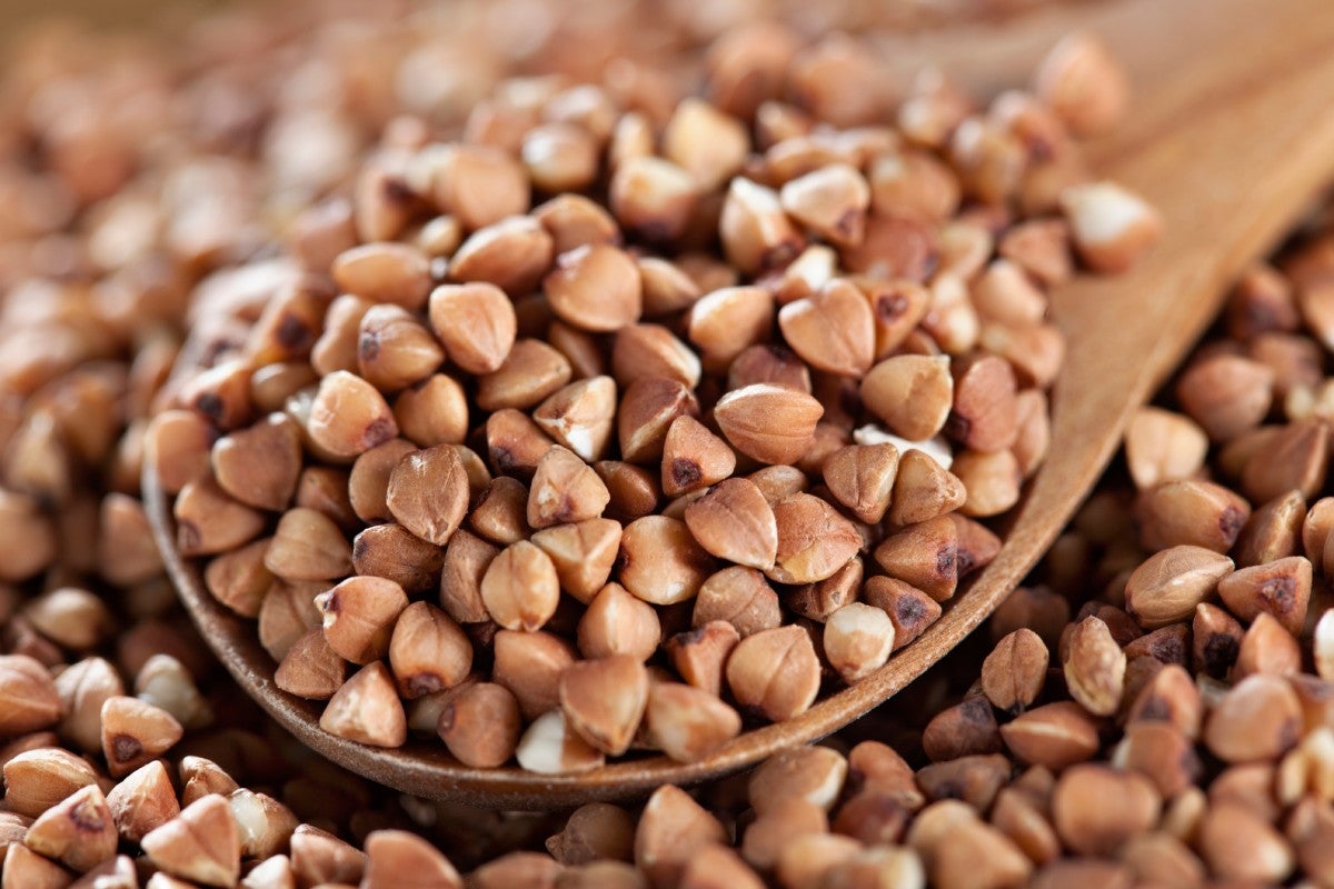 Close of of Buckwheat millet seeds