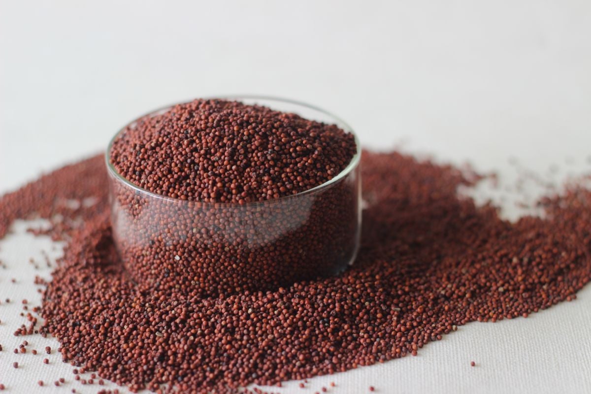 Finger millet is kind of millet very hardy crop that grow in arid and semi-arid regions