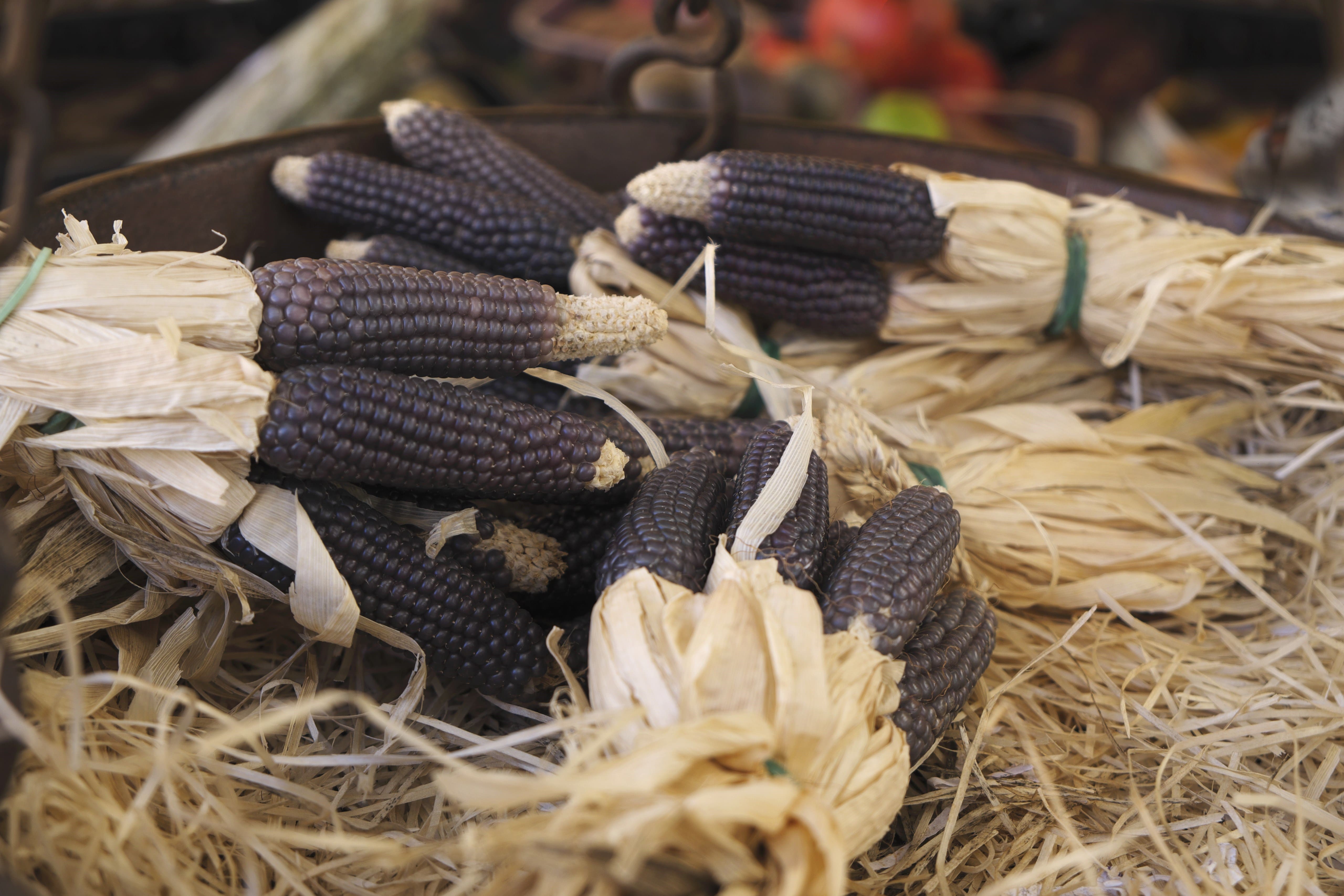 StockFood_11235035_XXL