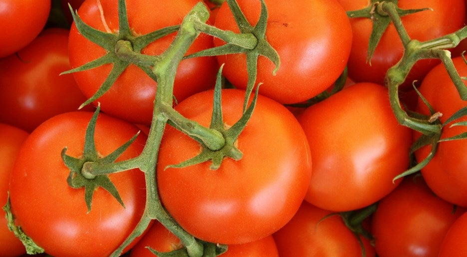 Tomatoes