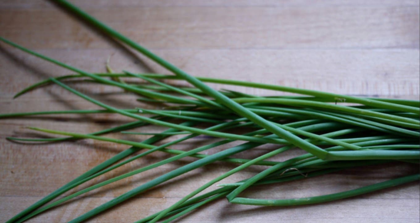 chives-Rebecca-onion-Siegel