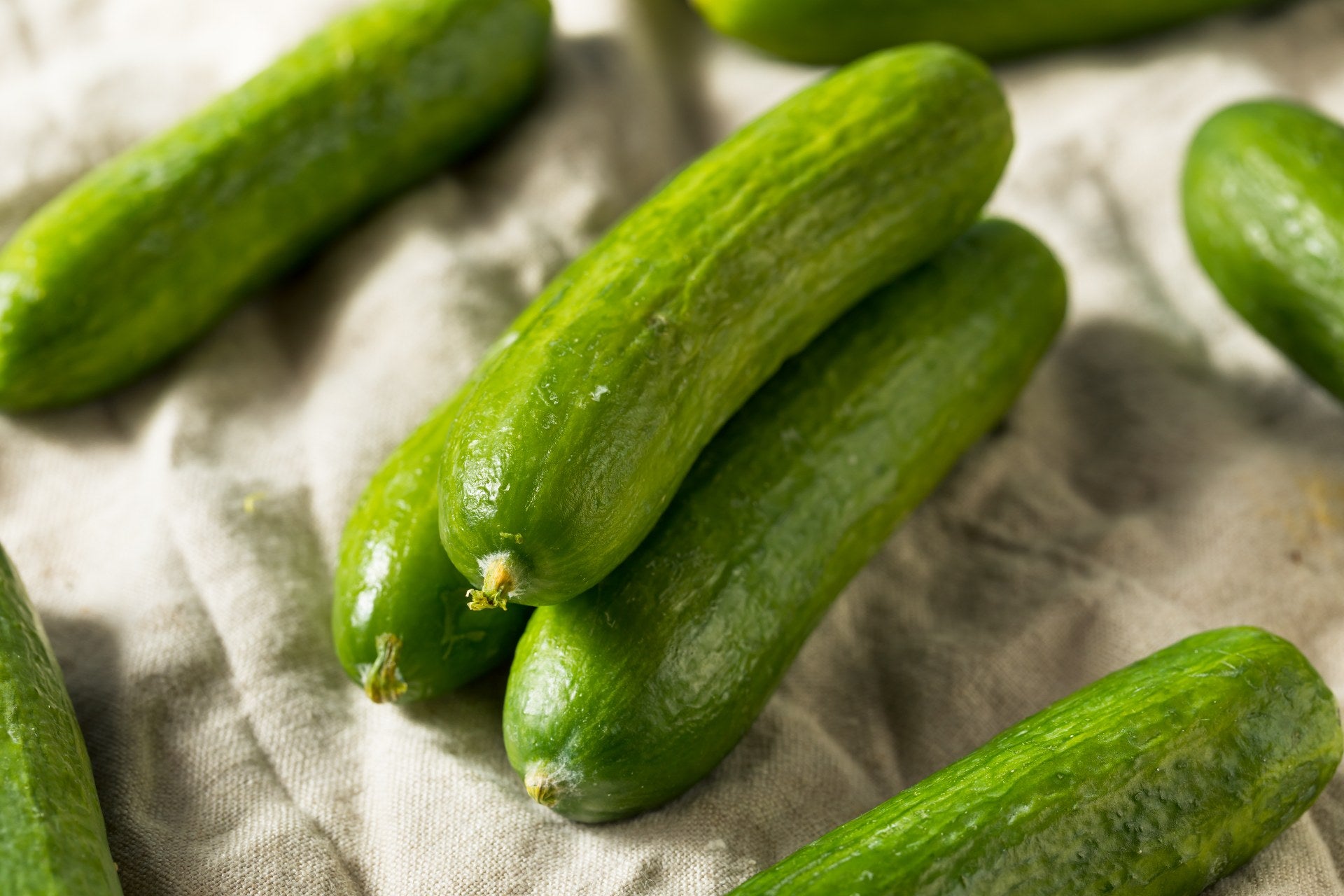 a selection of fresh green Persian cucumbers