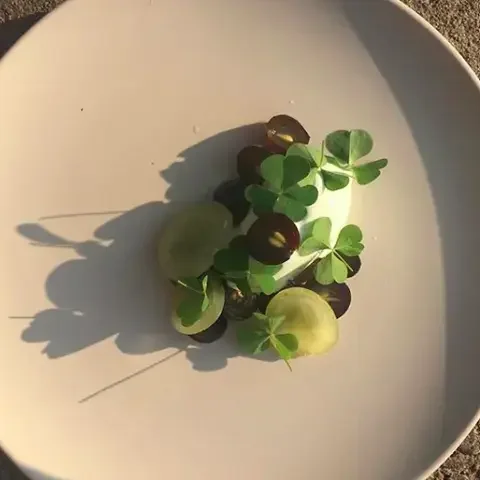 Ten Restaurant