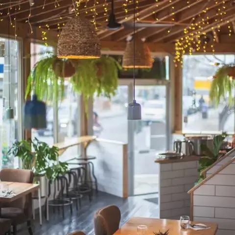 The Cottage Cheese - Urban Indian