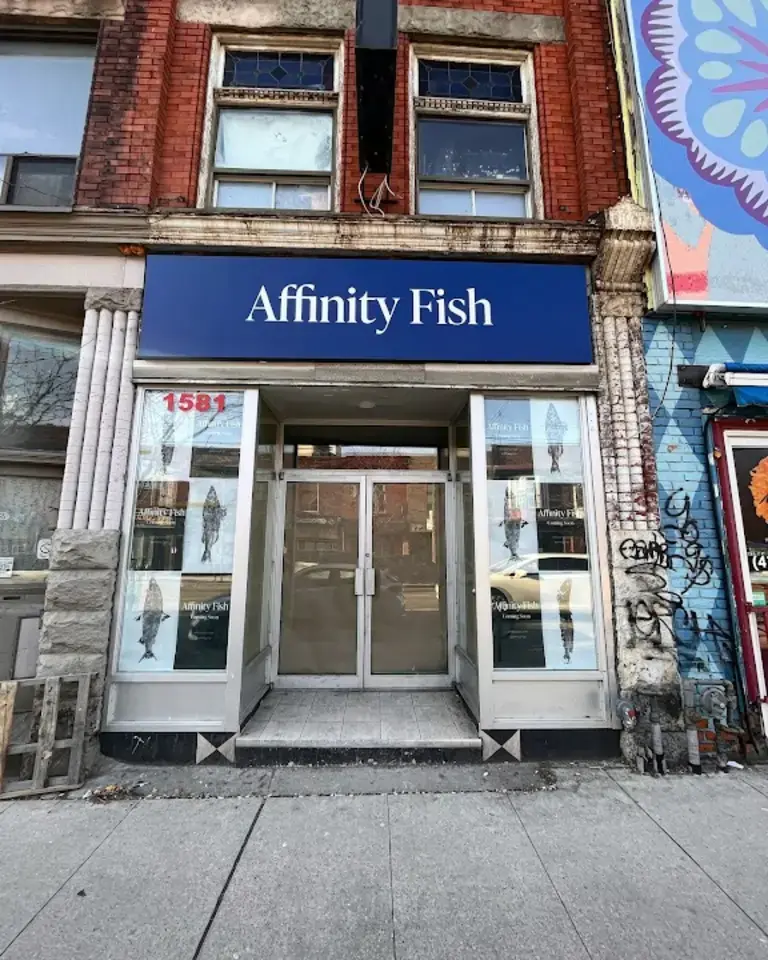 Affinity Fish Affinity Fish