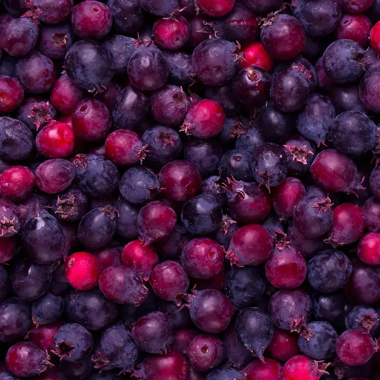 Saskatoon berries.
