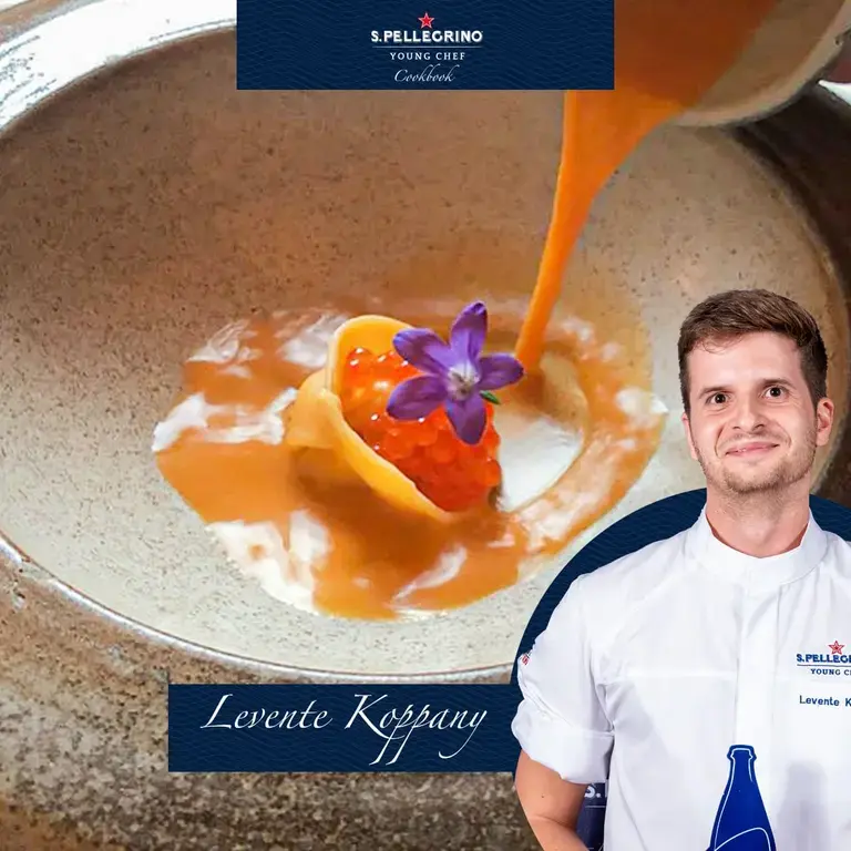 Levente Koppany
