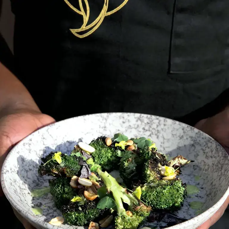 Culinary Voyager