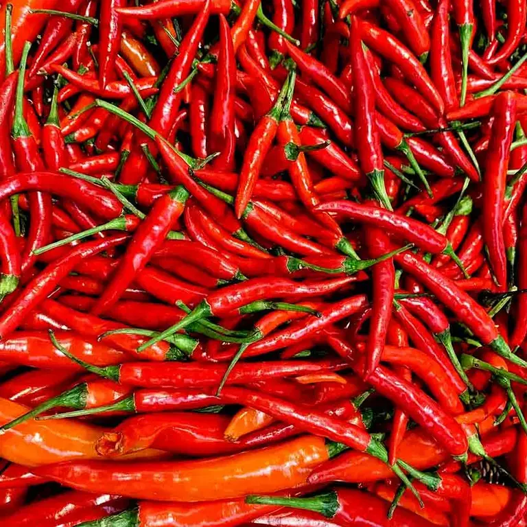 Food Myths Debunked