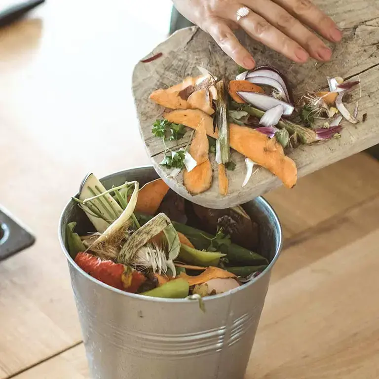 Food Waste