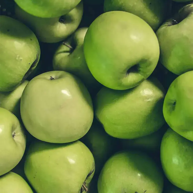 Nutritional Insights