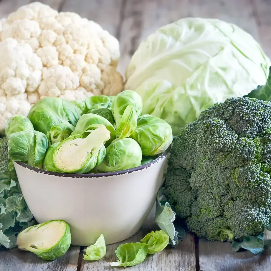 cabbage-varieties