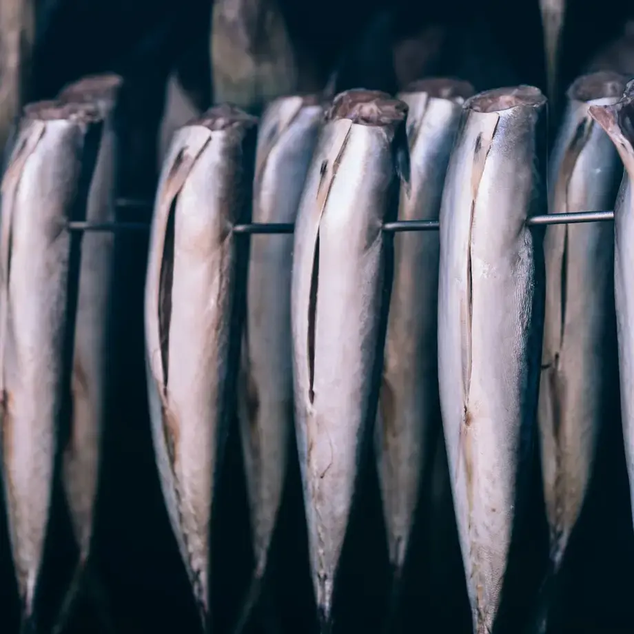 cod fish hanging