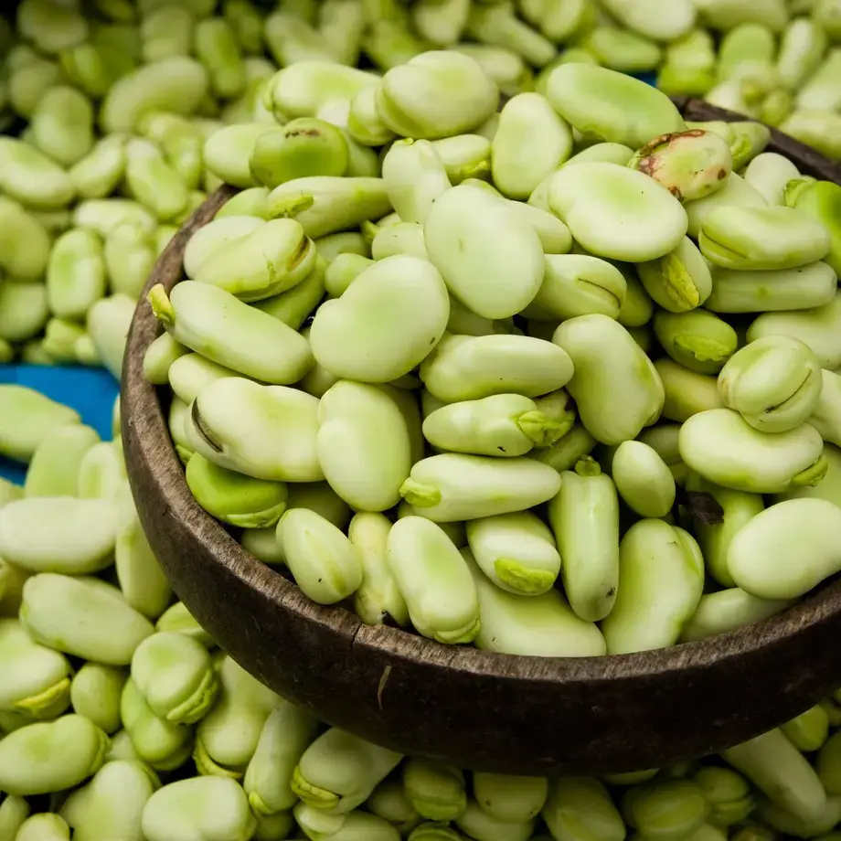 fava-beans