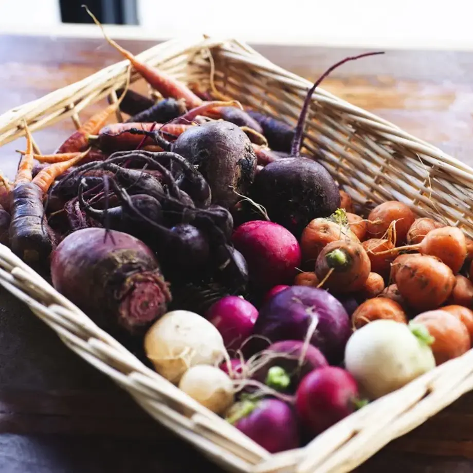 MAUDE épicerie/laboratoire culinaire