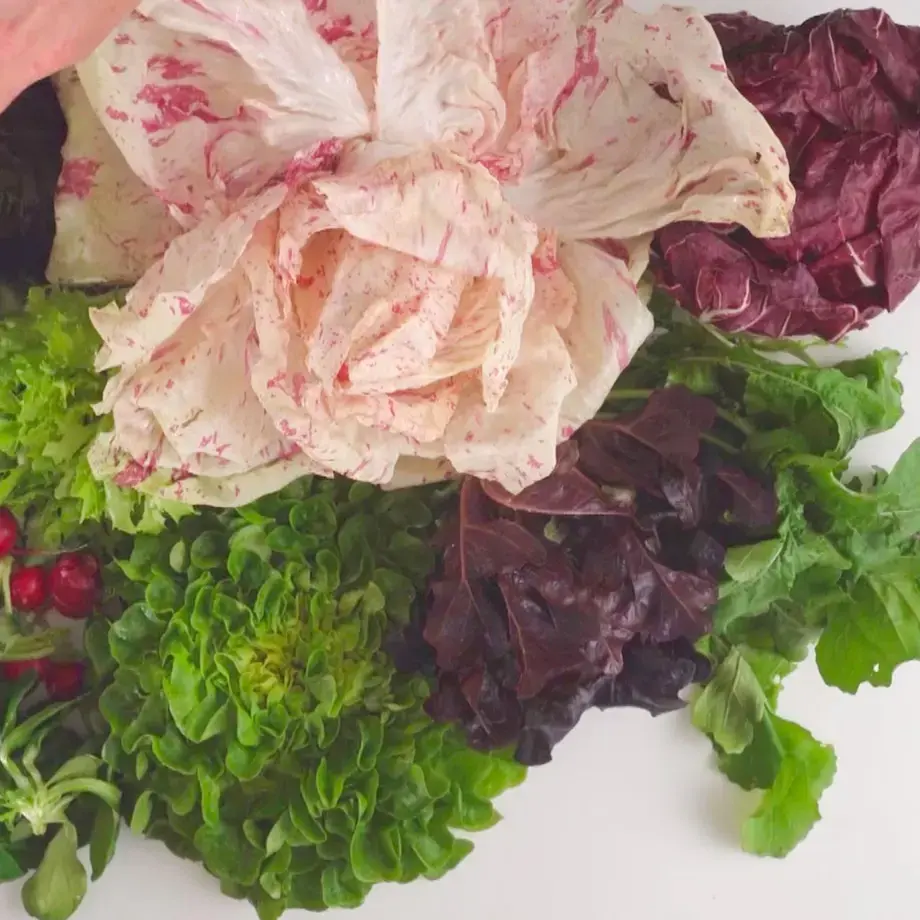Salad