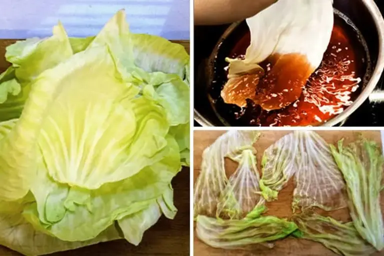 cabbages leaves