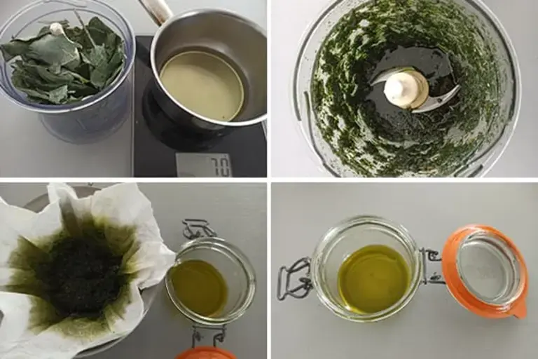 Eucalyptus oil