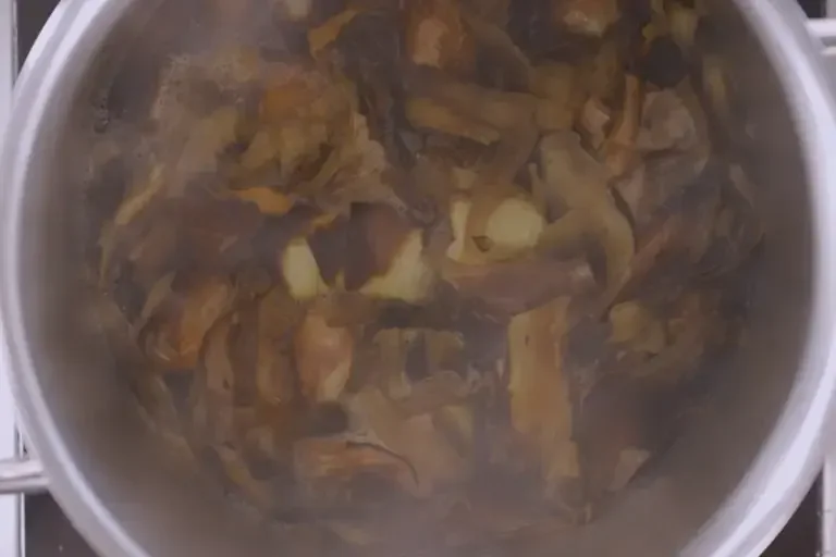 Scraps and broth