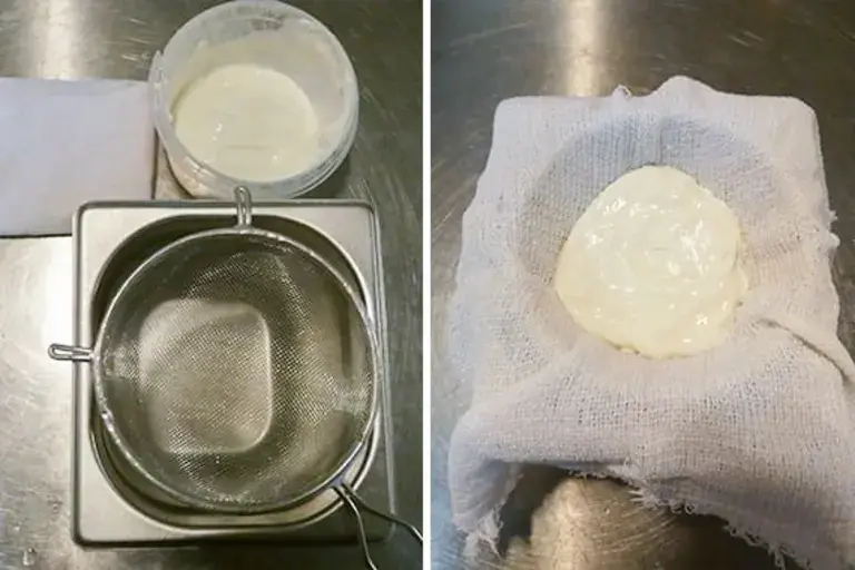 labneh curd cheese