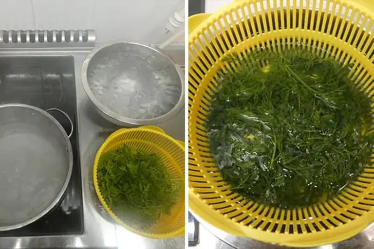 tops for the pesto
