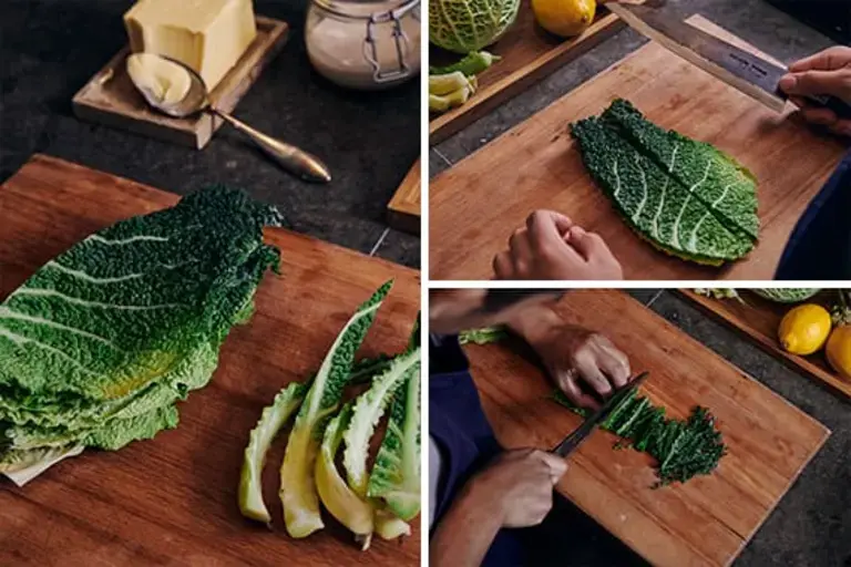 cabbage leaves
