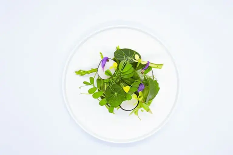 Plate 2 by Callan Austin