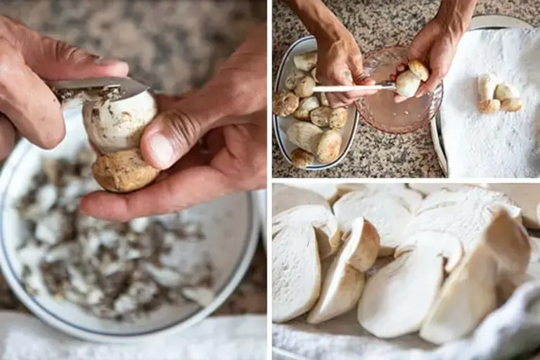 Cleaning mushrooms Courtesy of Nicole Bozzao 
