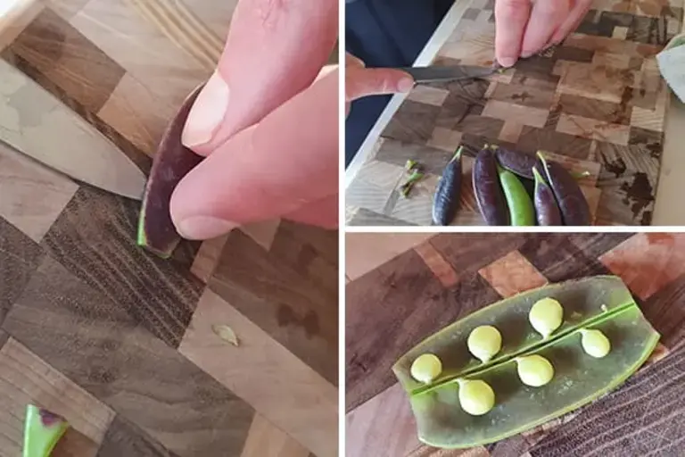 peas Courtesy of Chef Marcus Gericke