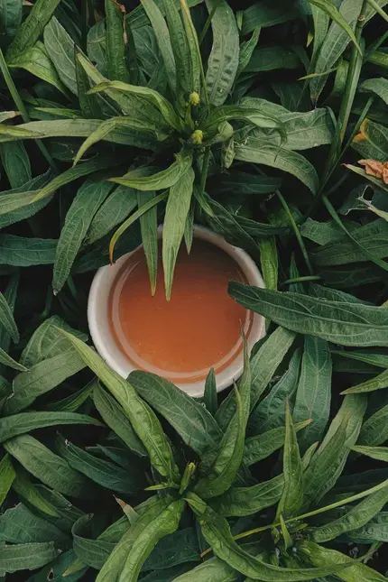 coffee-tea