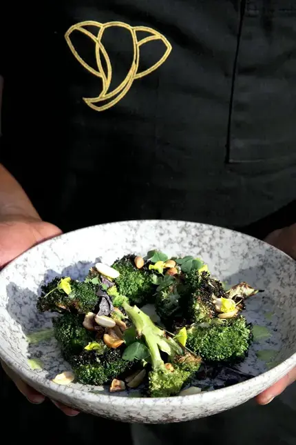 Culinary Voyager