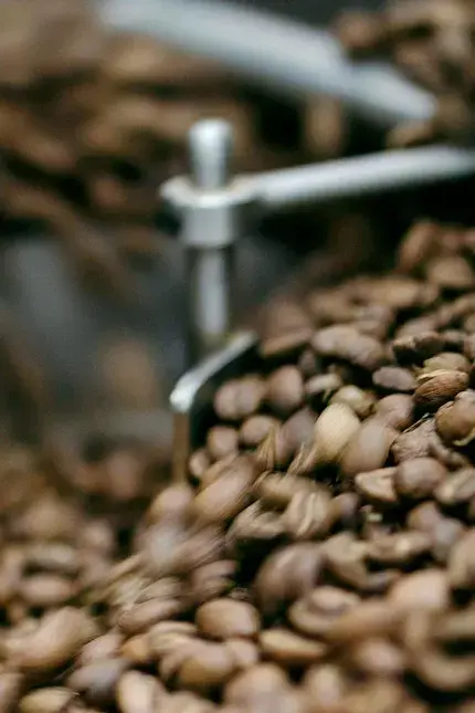Mastering Coffee