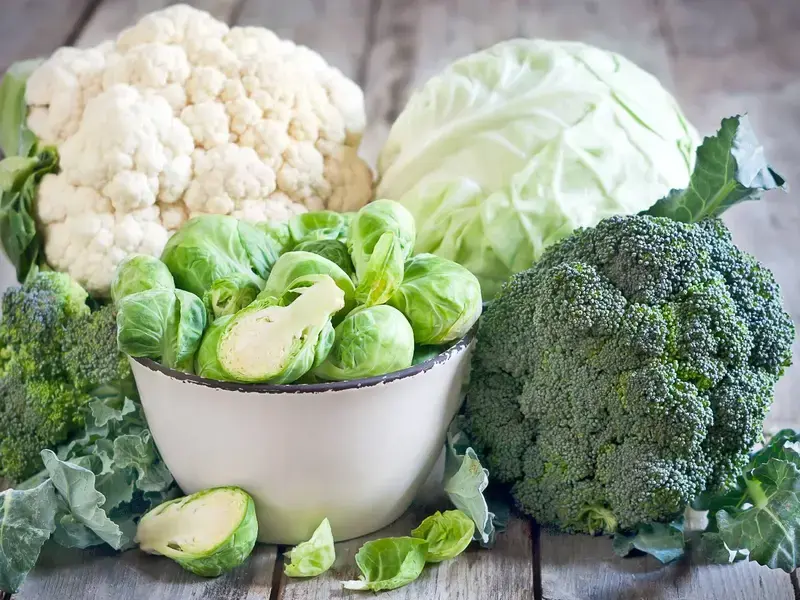 cabbage-varieties