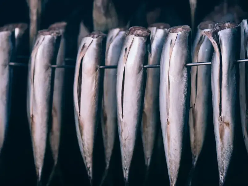 cod fish hanging