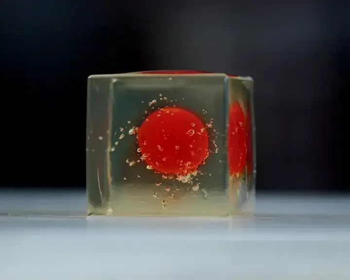 The secrets of Fine Dining cube