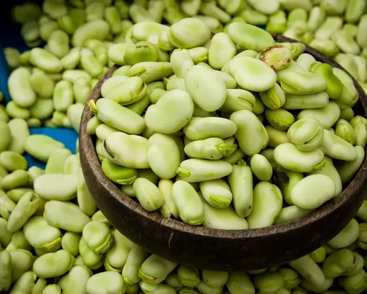 fava-beans