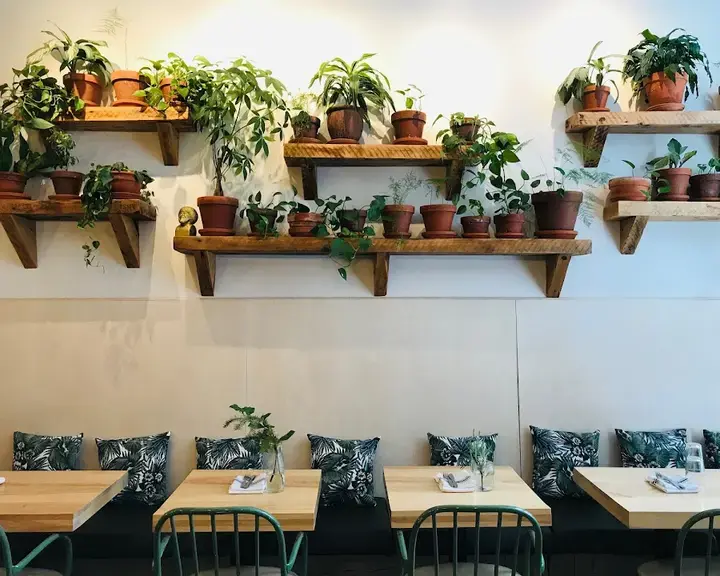 Épi, buvette de quartier