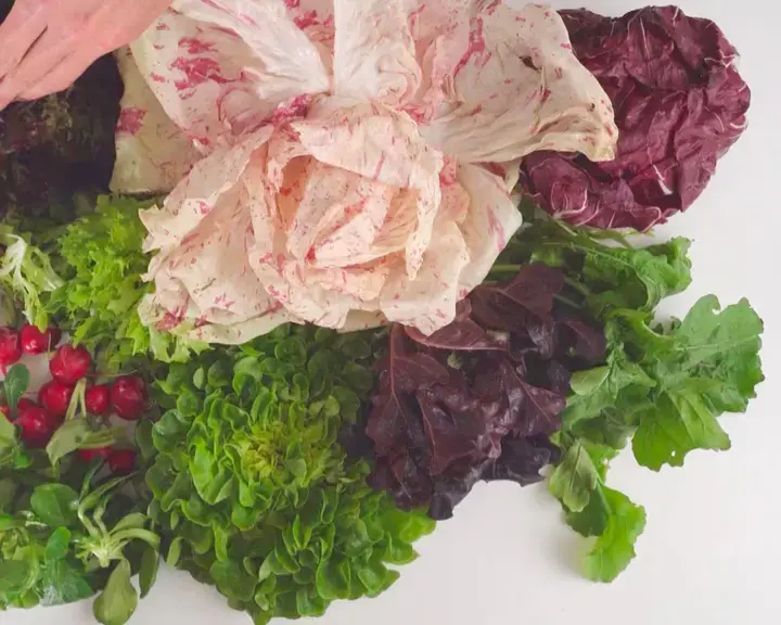 Salad