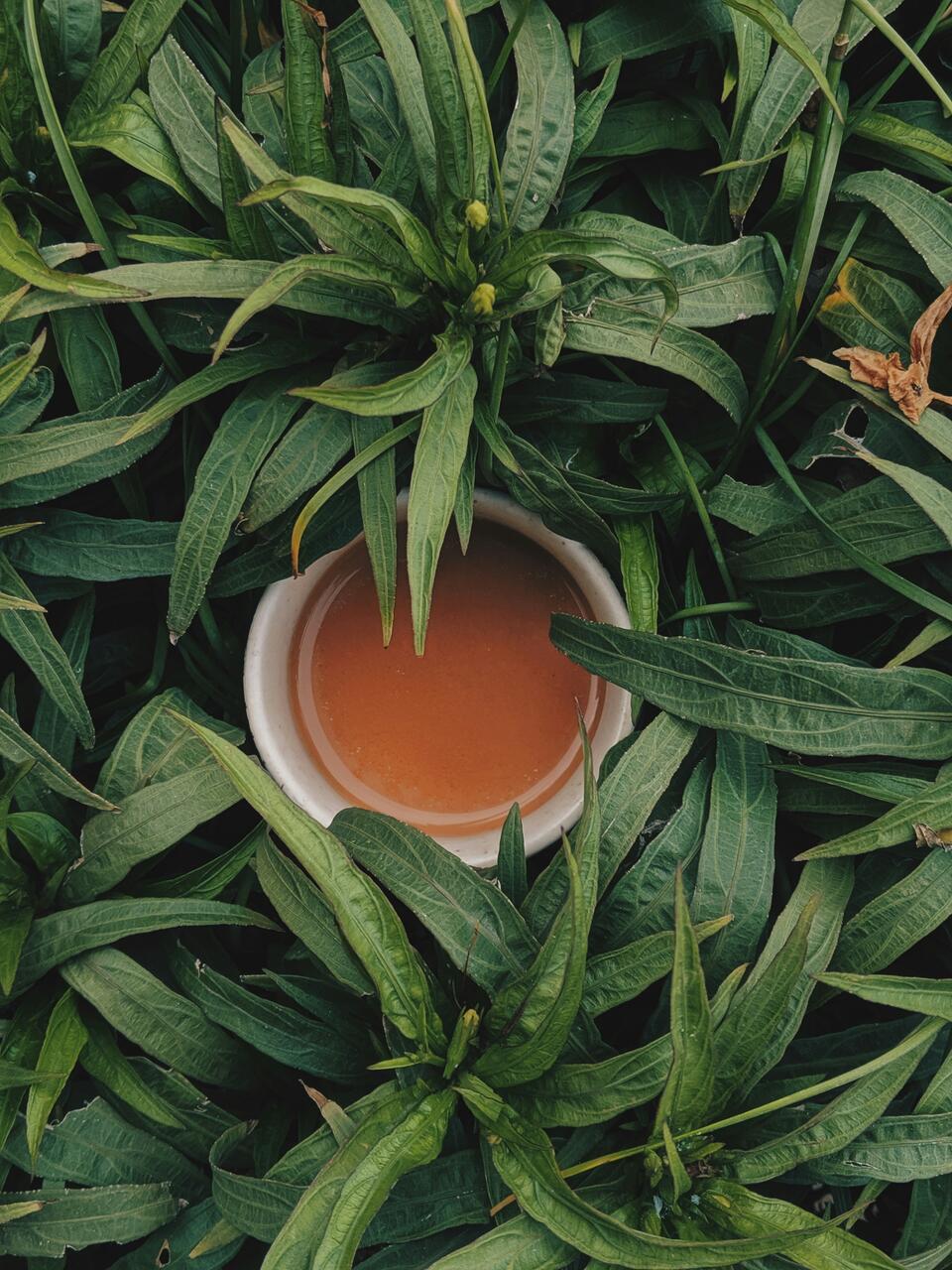 coffee-tea