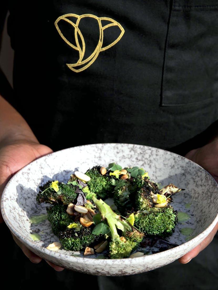Culinary Voyager