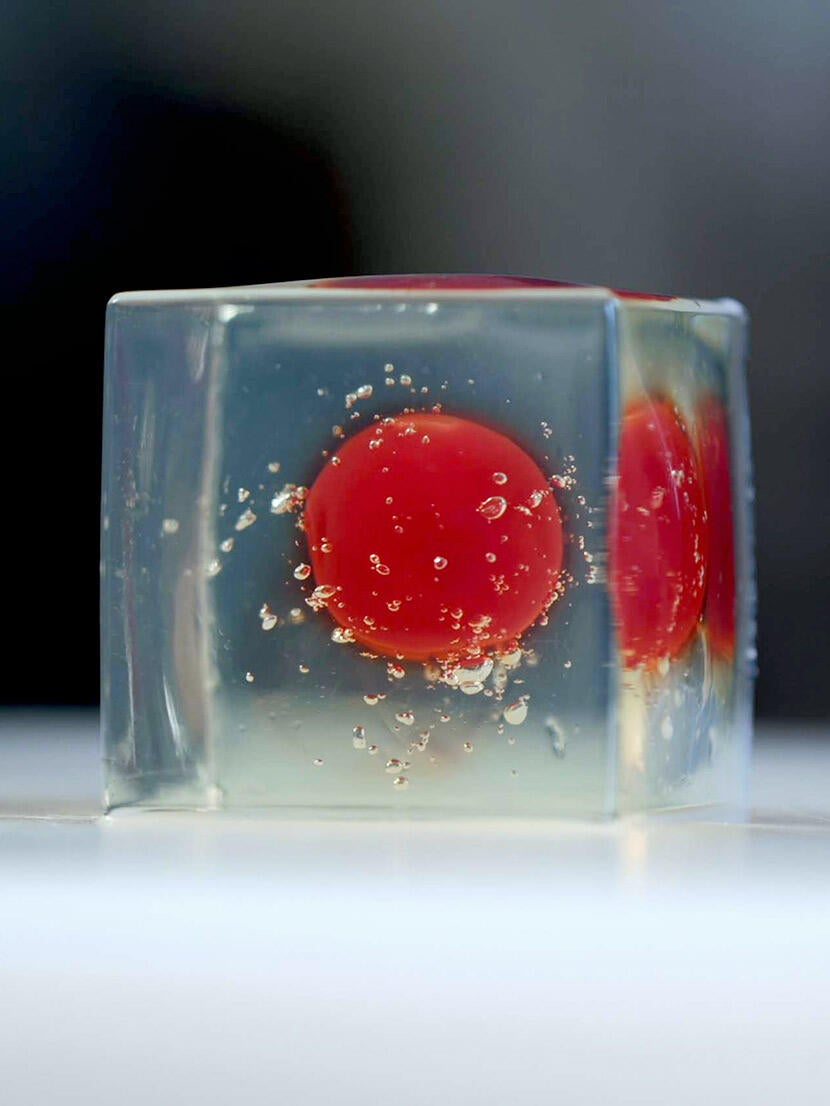 Molecular Cooking